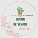 Jardines Getsemani