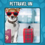 Pettravel HN