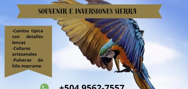 Souvenir e Inversiones "Sierra"